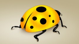 Golden Lady Beetle [Tak-Graphic.Com].jpg