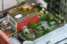 rooftop-gardens-10.jpg