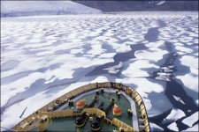 قطب شمال داخل خبر.jpg